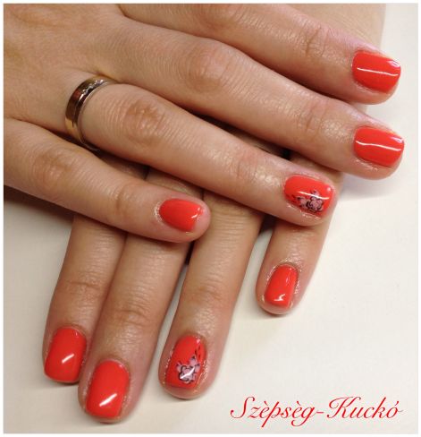 Crystal Nails - Gel-Lac  / Szépség-Kuckó